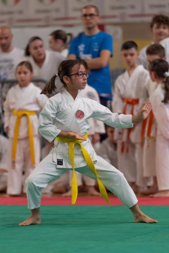 Trofeo Samurai 2024