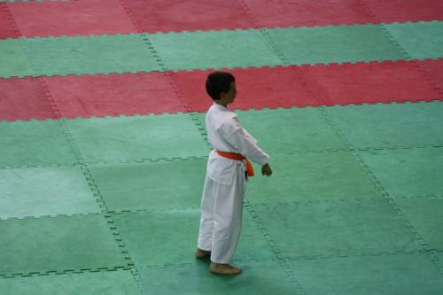 IMG 9428