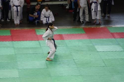 IMG 9468
