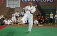 IV Trofeo Karate Planet FESIK 2013