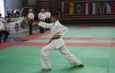 Stradivari World Cup WUKO 2013
