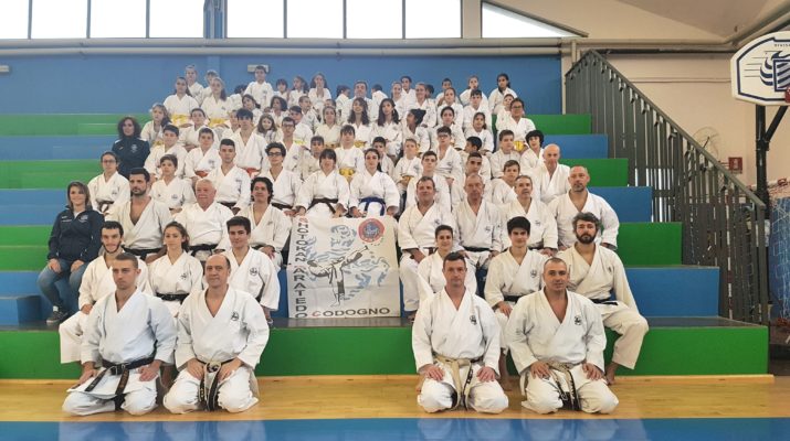 Auguri Di Natale Karate.Stage Natale 2018