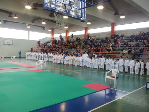 Campionati Provinciali CSI 2014